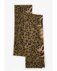 Penti - Barbara Zebra Pattern Scarf - Lyst
