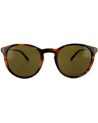 Polo Ralph Lauren - Round Havana Brown Sunglasses - Lyst