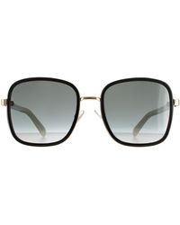 Jimmy Choo - Square Black Ivory Dark Grey Gradient Elva/s Sunglasses - Lyst