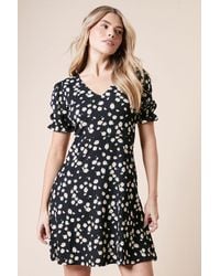 Dorothy Perkins - Daisy V Neck Short Sleeve Mini Jersey Dress - Lyst