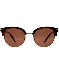 Serengeti - Round Shiny Brown Mineral Polarized Drivers Brown Lela - Lyst