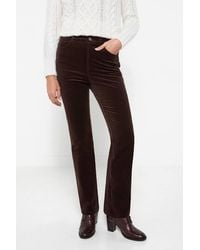 Joe Browns - Luxurious Bootcut Moleskin Trousers - Lyst