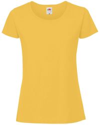 Fruit Of The Loom - Ringspun Premium T-Shirt - Lyst