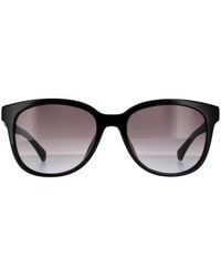 Calvin Klein - Round Shiny Black Grey Gradient Sunglasses - Lyst