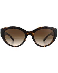 BVLGARI - Cat Eye Dark Havana Brown Gradient Sunglasses - Lyst