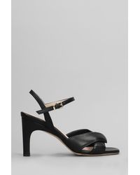 Evaluna - Sandals In Black Leather - Lyst