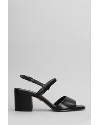 Carrano - Sandali in Pelle Nera - Lyst