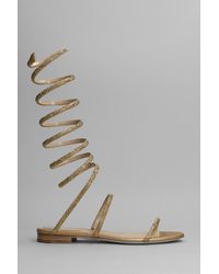 RenÃ© Caovilla Cleo Maxi Strass 105 Satin Sandal | Rene caovilla, Gorgeous shoes, Heels