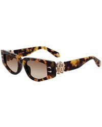 Roberto Cavalli - Src057M Tortoise Cat Eye Sunglasses - Lyst