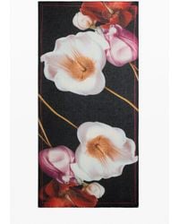 Desigual - Printed Flower Scarf, Polyester - Lyst