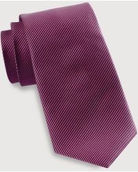 Synergy - Big & Tall Textured Solid Tie - Lyst