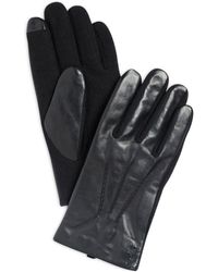 おすすめネット Polo Ralph M Gloves Touch Leather Lauren - 手袋