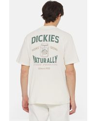 Dickies - Elliston Short Sleeve T-shirt - Lyst