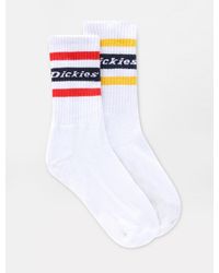 Dickies - Chaussettes Genola unisex Blanc Size 44-46 - Lyst