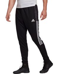 adidas pants mens sale