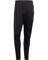 tiro 21 pants