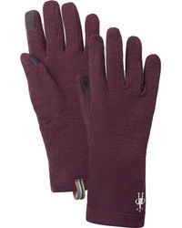 smartwool 250 gloves