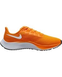 dicks sporting goods nike pegasus
