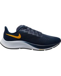 dicks sporting goods nike pegasus