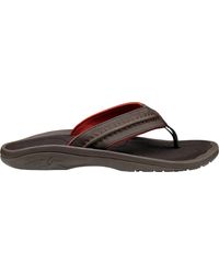 olukai on sale