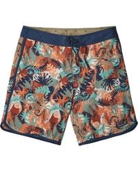 Patagonia Boardshorts and swim shorts 