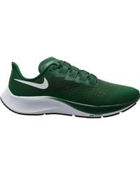 dicks sporting goods nike pegasus