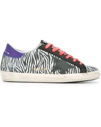 golden goose zebrate