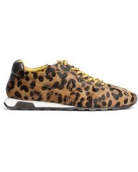Ash - Kill Bill Pony Animal Print Leather Sneakers - Lyst