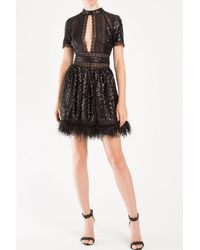 Zuhair Murad - Sequins Lace And Feathered Mini Dress - Lyst
