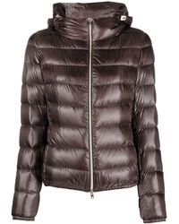 Herno - Piumino Corto Marrone Con Collo Alto E Zip - Lyst