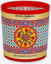Dolce & Gabbana Scented Candle - Wild Jasmine - Red