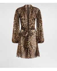 Dolce & Gabbana - Leo- Chiffon Dress - Lyst