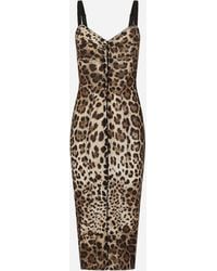 Dolce & Gabbana - Leopard-print Midi Dress - Lyst