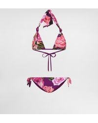 Dolce & Gabbana - Bikini De Triángulo Con Relleno Estampado De Rosas - Lyst