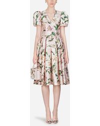 Dolce & Gabbana Lily-print Shantung Midi Dress - Pink