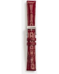 Dolce & Gabbana - Alligator Strap With Buckle And Hook - Lyst