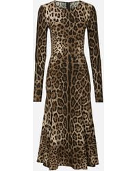 Dolce & Gabbana - Leopard-Print Calf-Length Cady Dress - Lyst