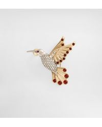 Dolce & Gabbana - Kolibri-Brosche - Lyst