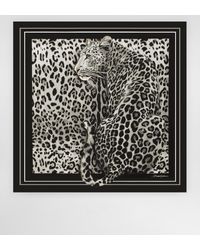 Dolce & Gabbana - Printed Silk Scarf - Lyst