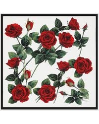 Dolce & Gabbana - Dgロゴ&ローズ プリント シルクジャカード ツイル スカーフ (90X90) - Lyst