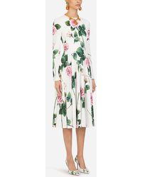 Dolce & Gabbana Cady Fabric Longuette Dress In Tropical Rose Print - Green