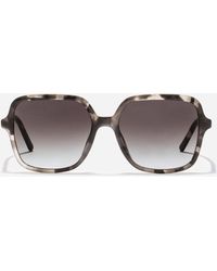 Dolce & Gabbana - Dg Everyday Sunglasses - Lyst