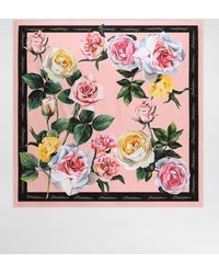 Dolce & Gabbana - Scarves - Lyst