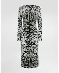 Dolce & Gabbana - Robe Fourreau Mi-Longue En Charmeuse À Léopard - Lyst