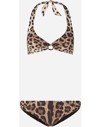 Dolce & Gabbana Bikini Leoparden-Print - Mehrfarbig