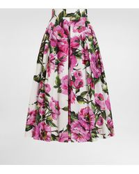 Dolce & Gabbana - Falda Plato De Algodón Con Estampado De Peonías - Lyst