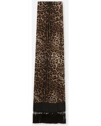 Dolce & Gabbana - Leopard-Print Silk Scarf With Fringing - Lyst