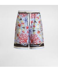 Dolce & Gabbana - Shell-Print Linen Canvas Trousers - Lyst