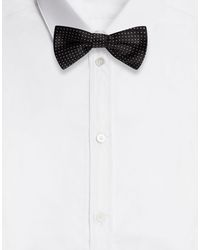 Dolce & Gabbana Fliege Jacquard-Seide Pois - Schwarz