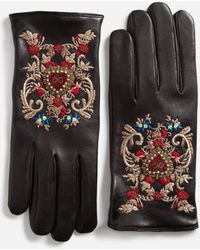 Dolce & Gabbana Handschuhe Mit Stickerei - Schwarz